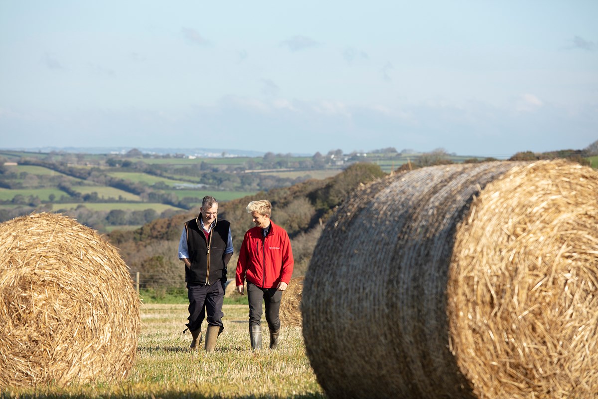 Two men walking through a field of hay bales